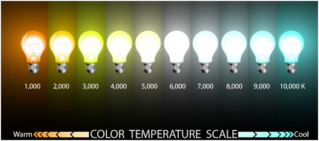 Warm White, Cool White: How to Choose a Suitable Colour Temperature for  Each Space in the House